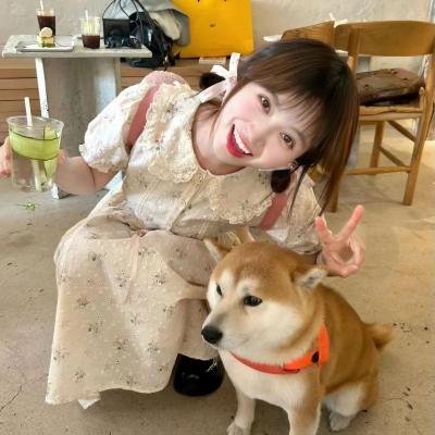 我爱猫头鹰